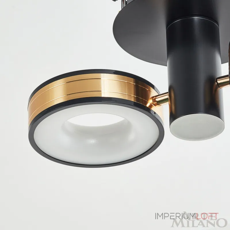 Светильник светодиодный Arte Milano Ferrara-71040 271040/2R BK/GD