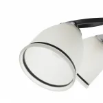 Потолочная люстра Arte Milano AMALFI-325885 325885/5A BK+CR