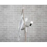 Подвесной светильник the monkey lamp ceiling version