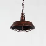 Подвесной светильник Dark Cage 6042–1P