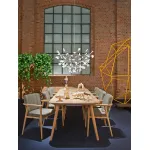 Подвесная люстра heracleum d98