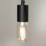 ретро–лампа Edison Bulb T45
