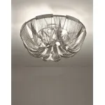 Потолочная люстра BlessLight Soscic G62L 10533