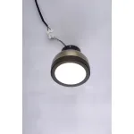 Светильник потолочный BlessLight Molly 16917