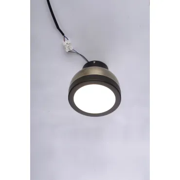 Светильник потолочный BlessLight Molly 16917