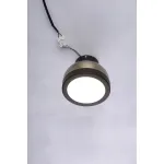 Светильник потолочный BlessLight Molly 16920