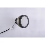 Светильник потолочный BlessLight Molly 16920