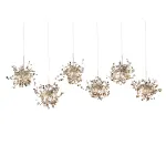 Подвесная люстра BlessLight Argent 6L 17113