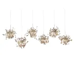 Подвесная люстра BlessLight Argent 6L 17113