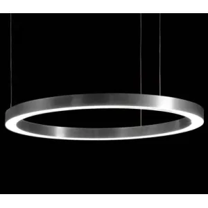 Светильник BlessLight Light Ring Horizontal 17148