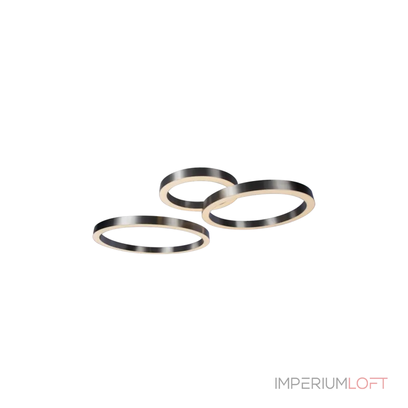 Светильник подвесной BlessLight Light Ring Horizontal 17153 Светильник подвесной BlessLight Light Ring Horizontal 17153