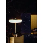 Лампа настольная BlessLight Trave 17687