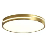 Светильник BlessLight MD20817 17873
