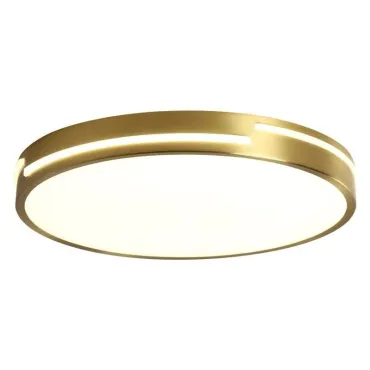 Светильник BlessLight MD20817 17873
