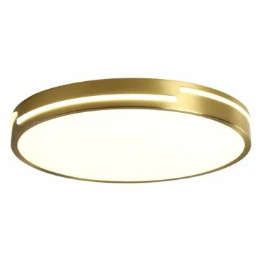 Светильник BlessLight MD20817 17880