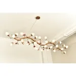 Подвесная люстра BlessLight Lotus 17944