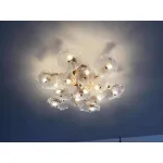 Потолочная люстра BlessLight Nenufar 17949