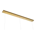 Светильник подвесной BlessLight Unfolded Hanging RING 7 18055