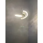 Подвесная люстра BlessLight Phoenix 20356