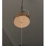 Подвесная люстра BlessLight Phoenix 20356