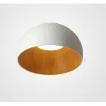 Подвесная люстра BlessLight Duo II 21076