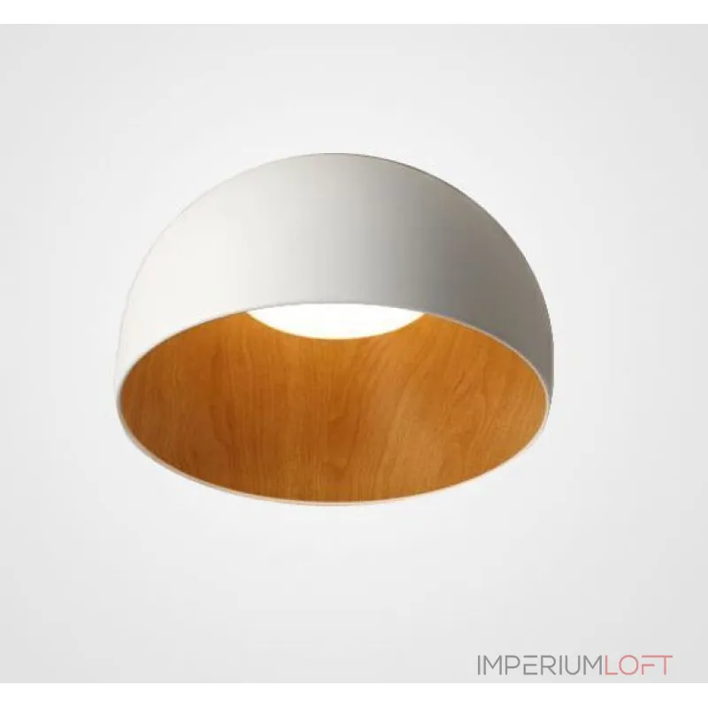 Потолочная люстра BlessLight Duo II 21079