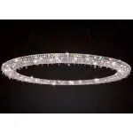 Подвесная люстра BlessLight Loop 21267