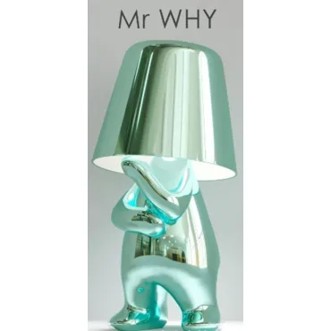 Лампа настольная BlessLight Mr Why 21337