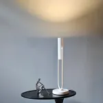 Лампа настольная BlessLight FIA6003 21394