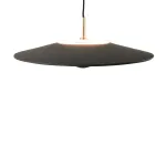 Подвесная люстра BlessLight SY9897 21411