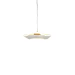 Подвесная люстра BlessLight Rosel 21412