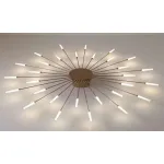 Люстра BlessLight Rays II 21443