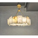 Подвесная люстра BlessLight Knoss 21551