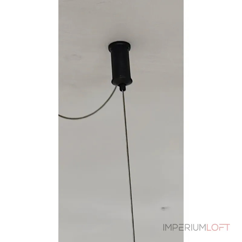 Подвесная люстра BlessLight Ledio 21619