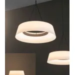 Подвесная люстра BlessLight Lily 21781