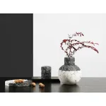 Ваза BlessLight Black and white vase 9659