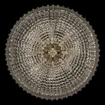 Потолочная люстра Bohemia Ivele Crystal 1901 19011/60IV GW
