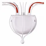 Бра Arte Lamp Artefact A3225AP-2WH