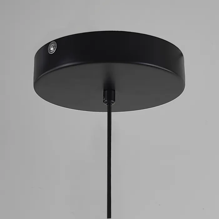 Подвесной светильник SUSPENSION CERCLE ET TRAIT – GRAPHITE SATINE L170 от ImperiumLoft