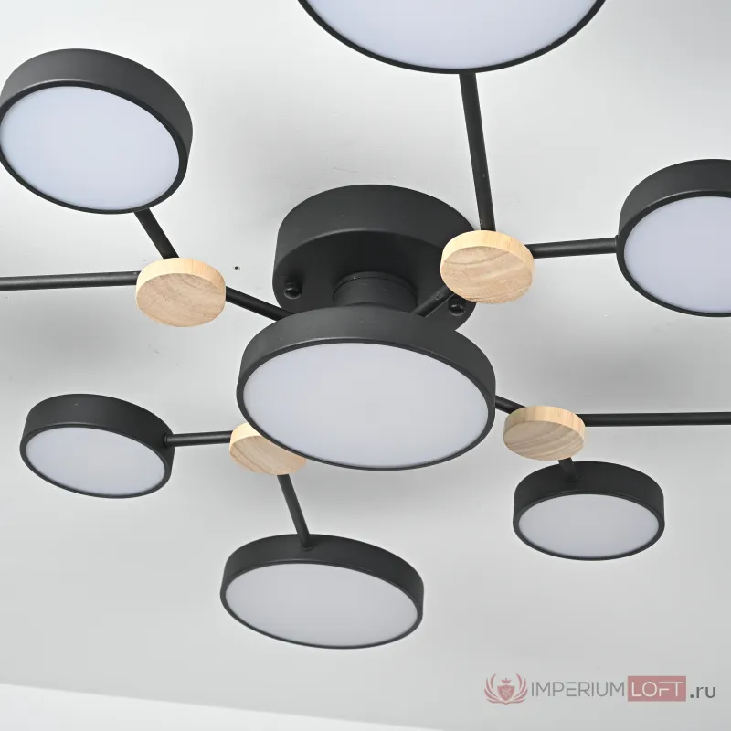 Потолочная люстра GAMMA D98 Black от ImperiumLoft