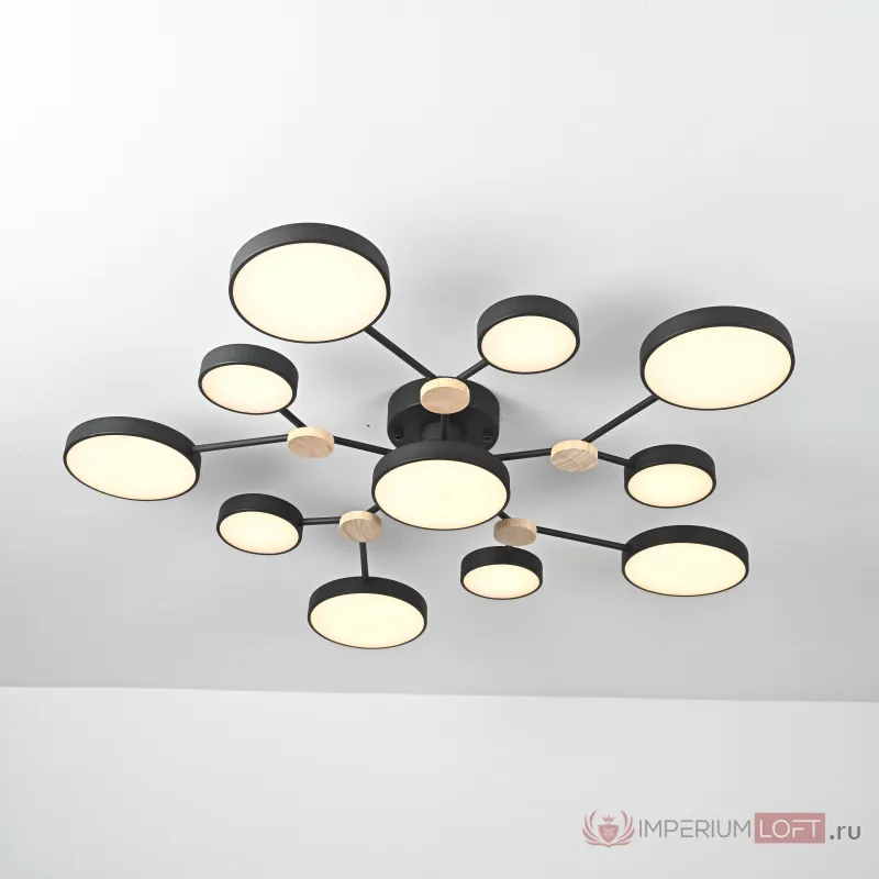 Потолочная люстра GAMMA D102 Black от ImperiumLoft
