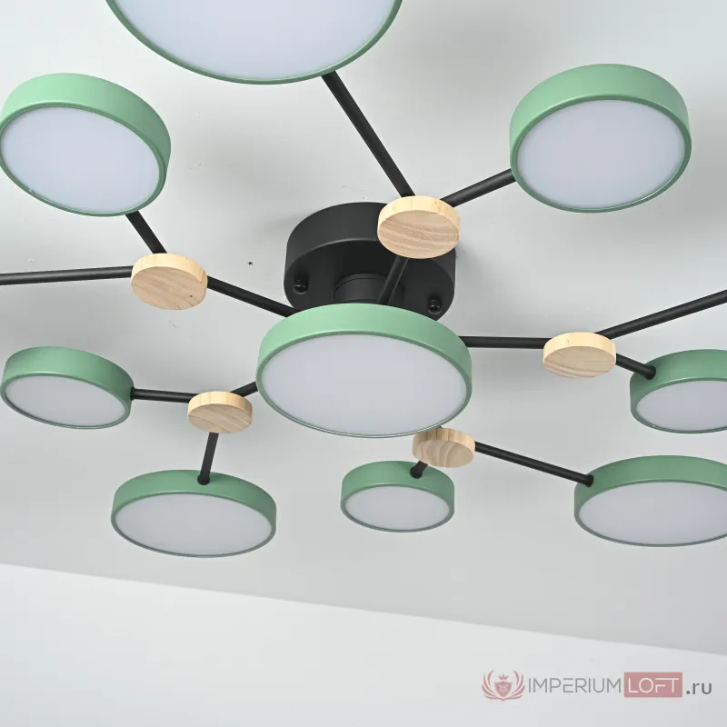 Потолочная люстра GAMMA D102 Green от ImperiumLoft