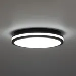 Светильник накладной Citilux LUNS CL711021V