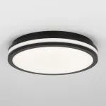 Светильник накладной Citilux LUNS CL711021V
