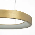 Подвесная люстра Citilux GENKA SMART CL756A072