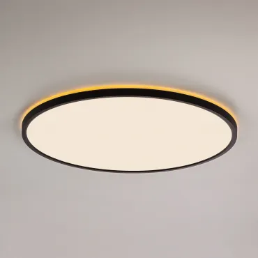 Светильник накладной Citilux NORMA CL748501