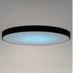 Светильник потолочный Citilux Купер CL724155G1 от ImperiumLoft