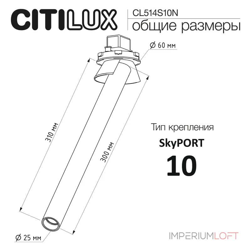Встраиваемый поворотный спот Citilux STEK CL514S10N