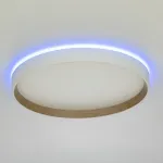 Потолочный светильник с пультом Citilux ETALON CL750320R