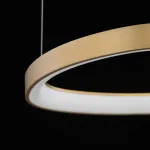 Подвесная люстра Citilux GENKA SMART CL756A092